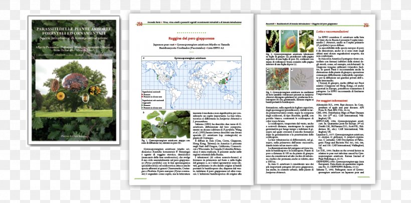 Graphic Design Page Layout Prepress Font, PNG, 1332x661px, Page Layout, Book, Catalog, Liceo Scientifico, Magazine Download Free