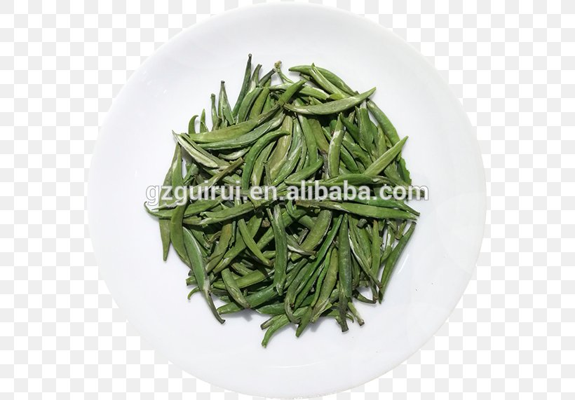 Hōjicha Green Tea Longjing Tea Tea Plant, PNG, 571x571px, Hojicha, Alibaba Group, B Symptoms, Bean, Biluochun Download Free