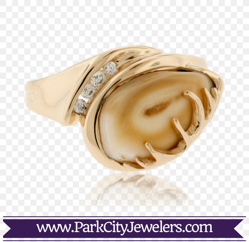 Ring Elk Jewellery Ivory Bracelet, PNG, 800x800px, Ring, Bangle, Beige, Black Hills Gold Jewelry, Body Jewellery Download Free