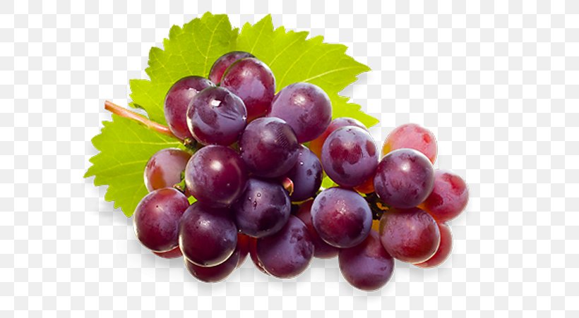 Web Design, PNG, 590x451px, Grape, Berry, Blog, Cranberry, Currant Download Free