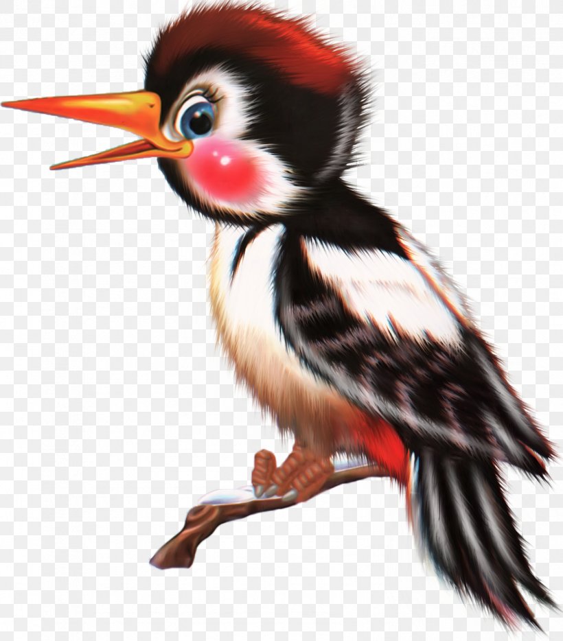 Bird Animal Coraciiformes, PNG, 1698x1935px, Bird, Animal, Badger, Beak, Coraciiformes Download Free