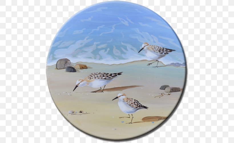 Bird Sandpiper Painting Oil Paint, PNG, 800x500px, Bird, Acrylic Paint, Art, Beach, Cottage Download Free