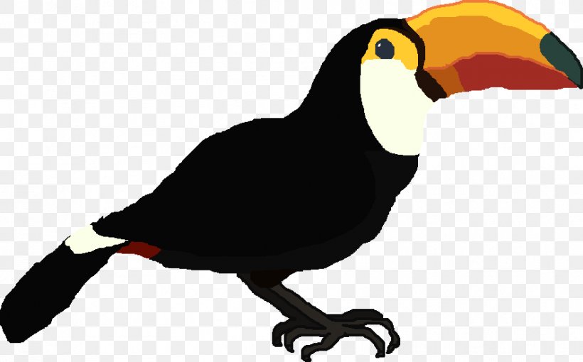 Bird Toucan Beak Piciformes Vulture, PNG, 887x552px, Bird, Animal, Beak, Fauna, Piciformes Download Free