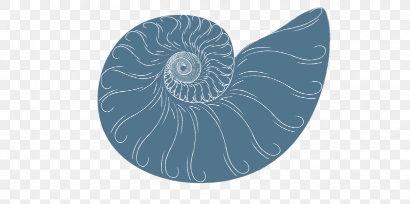 Invertebrate Nautiluses Spiral Circle Microsoft Azure, PNG, 1402x700px, Invertebrate, Microsoft Azure, Nautilida, Nautiluses, Organism Download Free