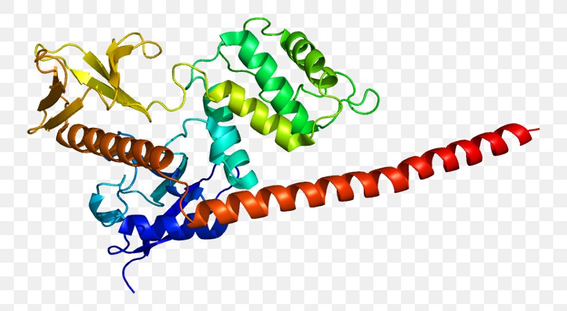 Moesin ERM Protein Family FERM Domain Radixin, PNG, 792x450px, Moesin, Biology, Cell, Erm Protein Family, Ezrin Download Free