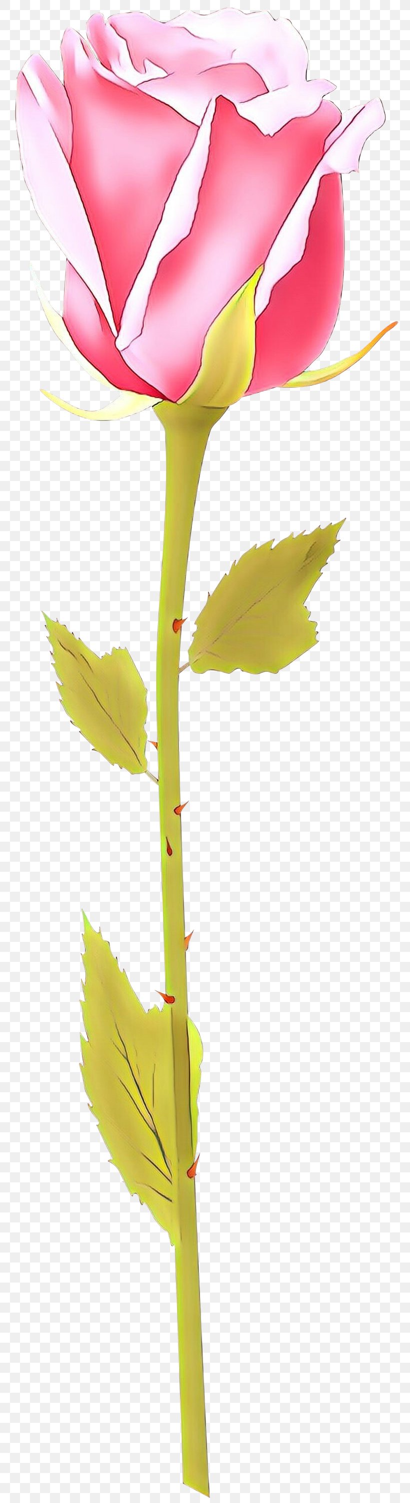 Plane, PNG, 808x3000px, Cartoon, Canoe Birch, Flower, Flowering Plant, Leaf Download Free