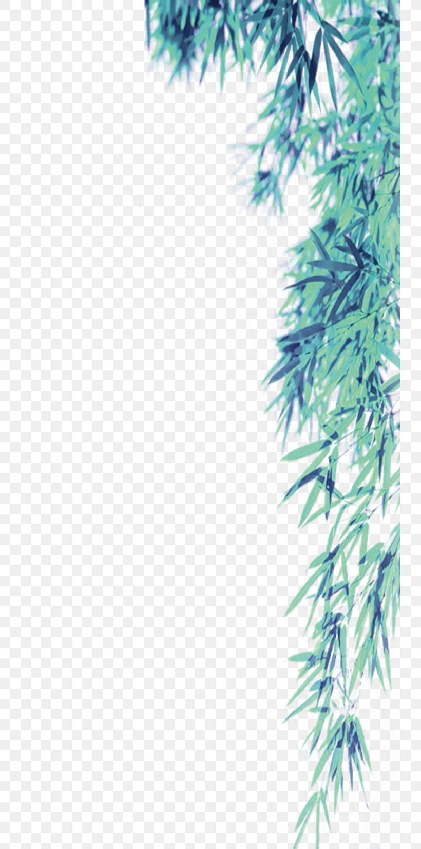 Bamboo Qingming Green, PNG, 740x1652px, Bamboo, Bambusa Oldhamii, Branch, Conifer, Designer Download Free