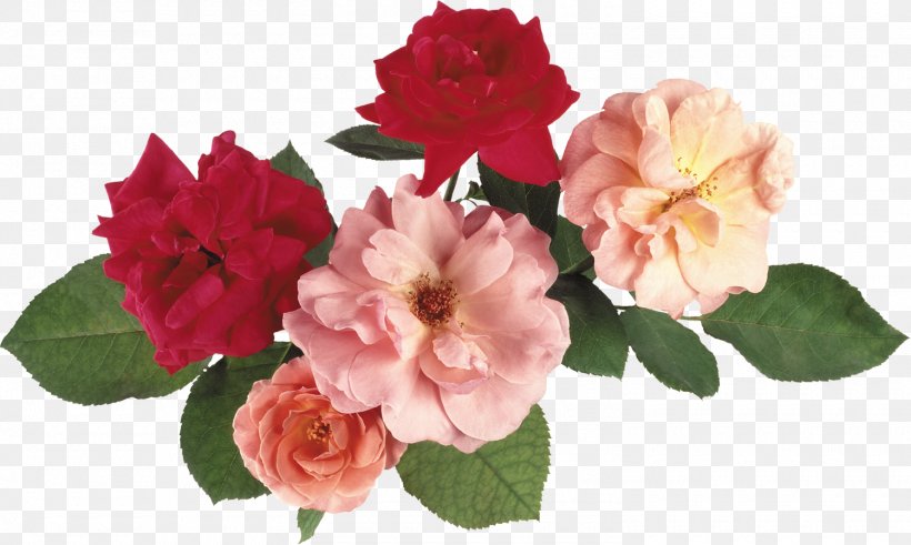 Cut Flowers Rose Artificial Flower, PNG, 1500x900px, Flower, Annual Plant, Artificial Flower, Azalea, Cut Flowers Download Free
