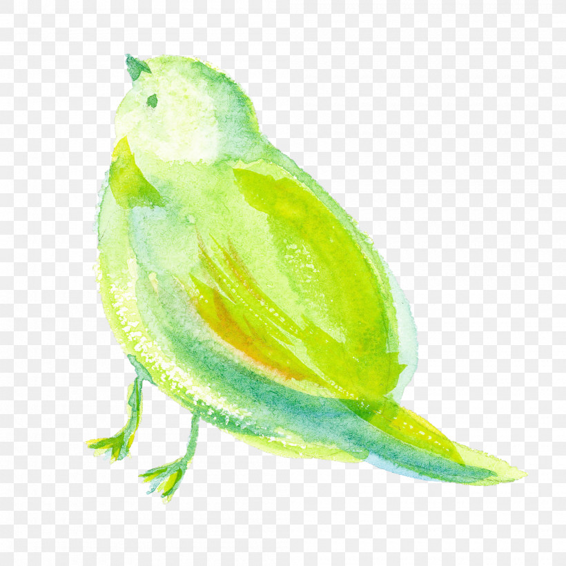 Green Yellow Watercolor Paint Bird Parakeet, PNG, 2000x2000px, Watercolor Bird, Bird, Budgie, Green, Paint Download Free
