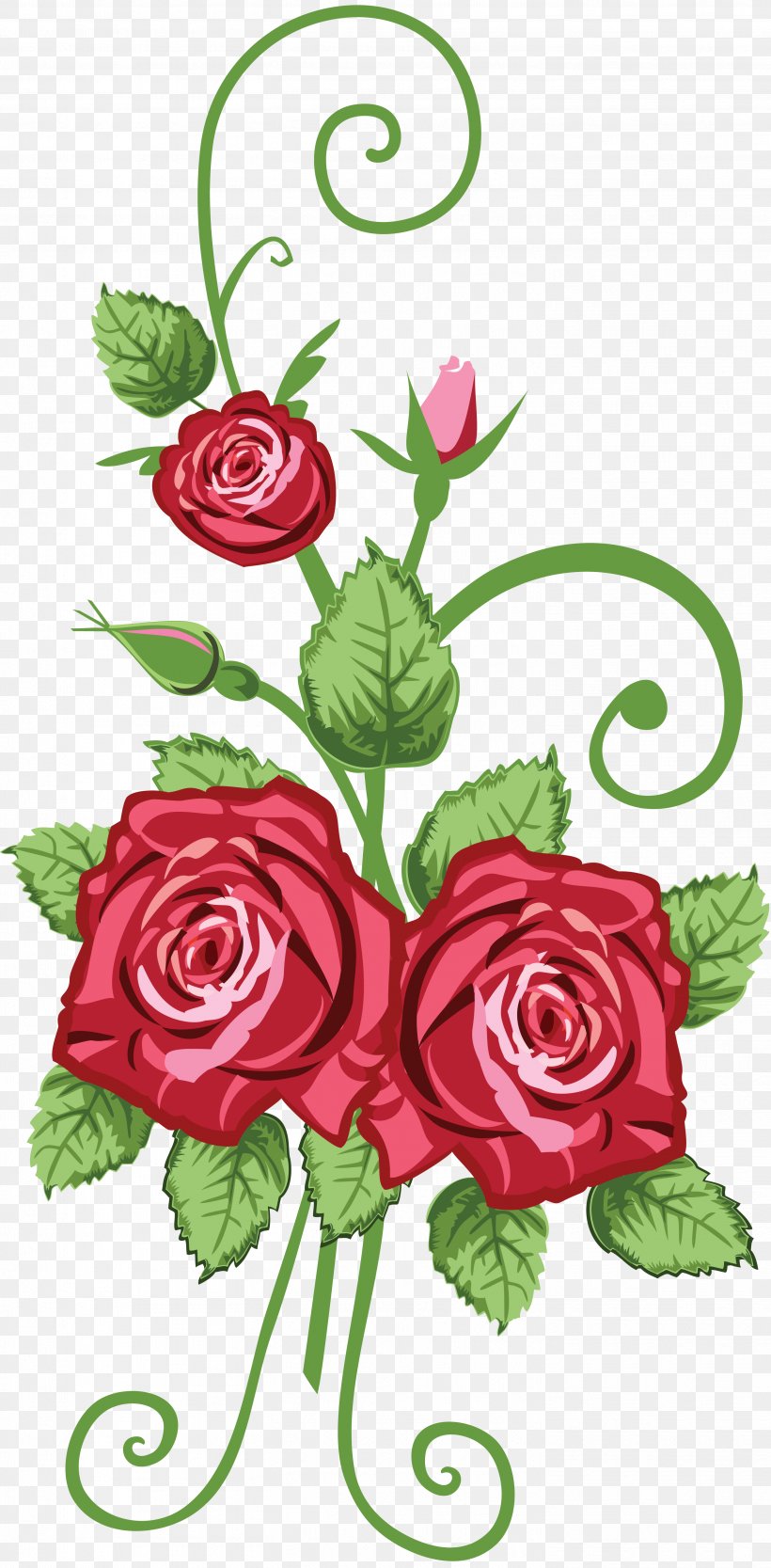 Rose Drawing Clip Art, PNG, 2906x5911px, Rose, Art, Artwork, Cut Flowers, Drawing Download Free