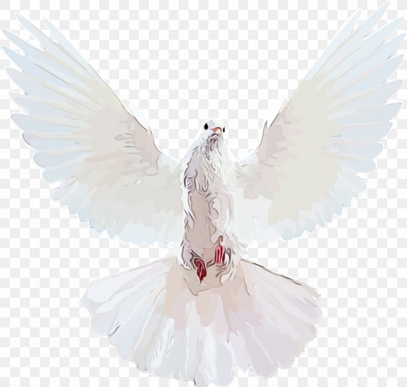 Angel Cartoon, PNG, 1280x1219px, Pigeons And Doves, Angel, Beak, Bird, Feather Download Free