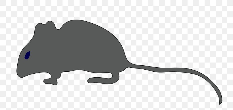 Rat Mouse Silhouette Clip Art, PNG, 800x387px, Rat, Black, Black And White, Carnivoran, Computer Download Free
