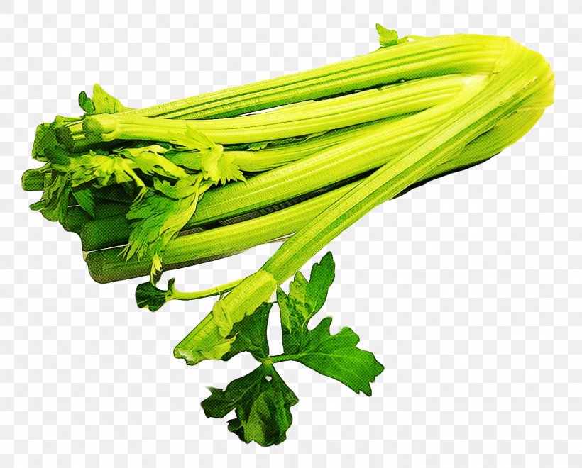 Vegetable Food Celery Plant Leaf Vegetable, PNG, 1414x1139px, Vegetable, Celery, Chinese Celery, Choy Sum, Food Download Free