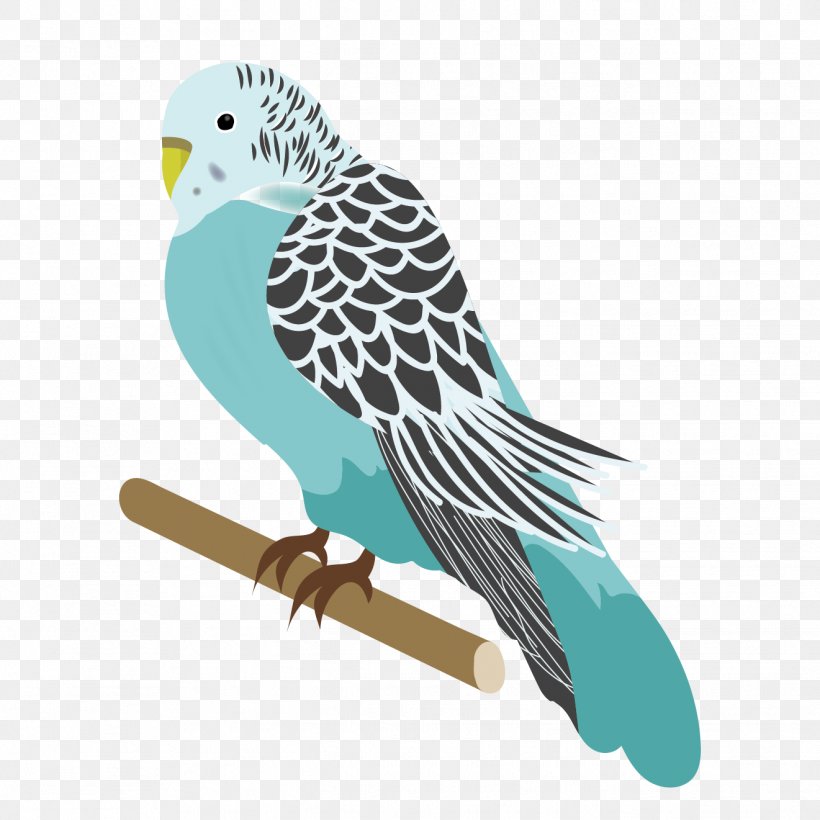 Budgerigar Bird Parrots Parakeet Illustration, PNG, 1321x1321px, Budgerigar, Animal, Beak, Bear, Bird Download Free