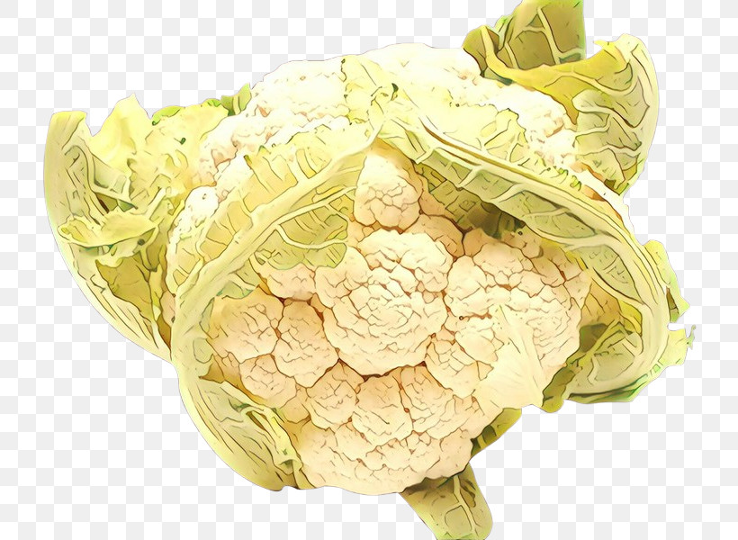 Cauliflower, PNG, 800x600px, Cauliflower, Cabbage, Cut Flowers, Flower, Food Download Free