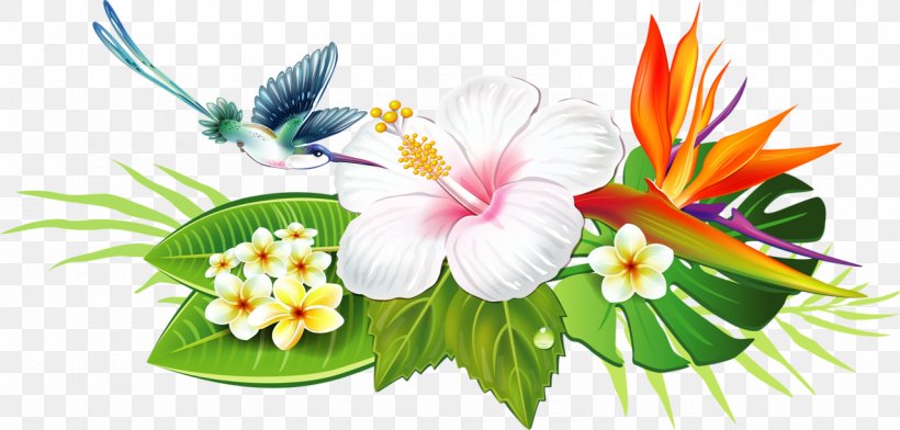 Clip Art Drawing Image Work Of Art Vector Graphics, PNG, 1280x613px, Drawing, Anthurium, Art, Artificial Flower, Botany Download Free