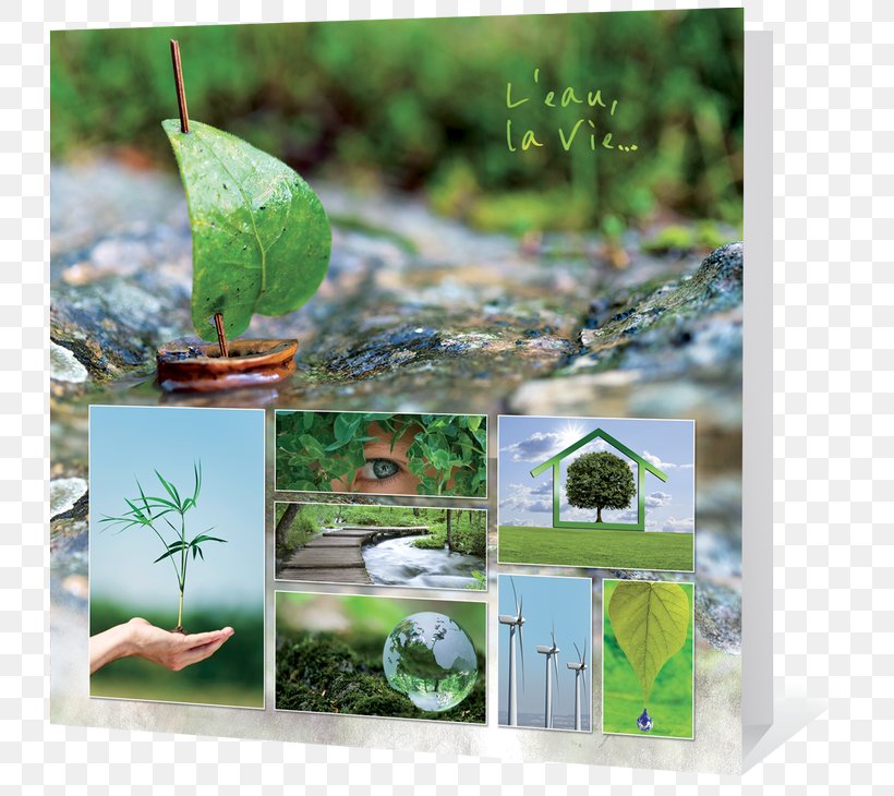 Ecology Greeting & Note Cards Nature Environmental Protection Natural Environment, PNG, 800x730px, 2016, Ecology, American Greetings, Christmas Card, Conservation Download Free