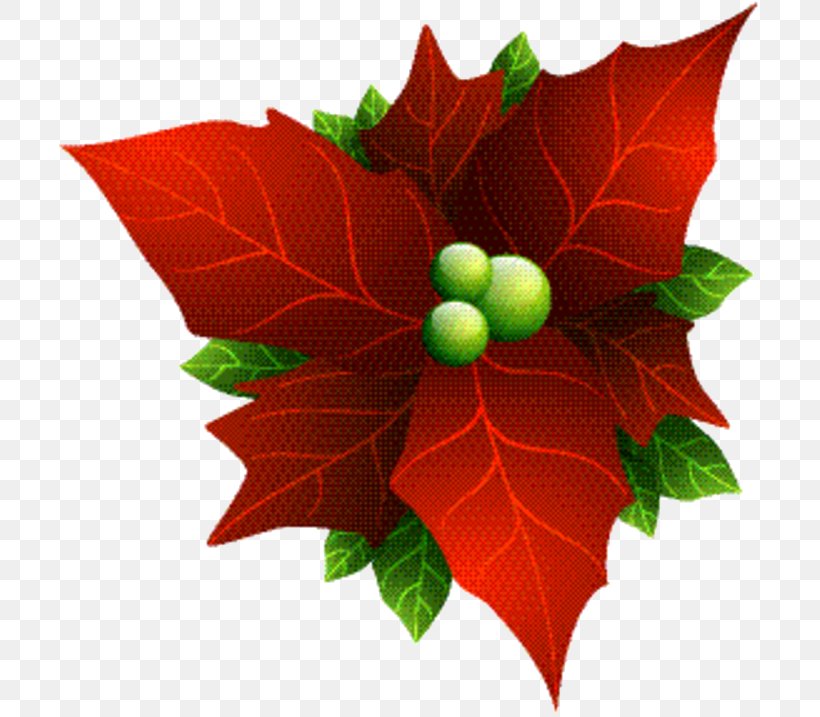 Holly Leaf, PNG, 714x717px, Leaf, Flower, Flowering Plant, Holly, Plane Download Free
