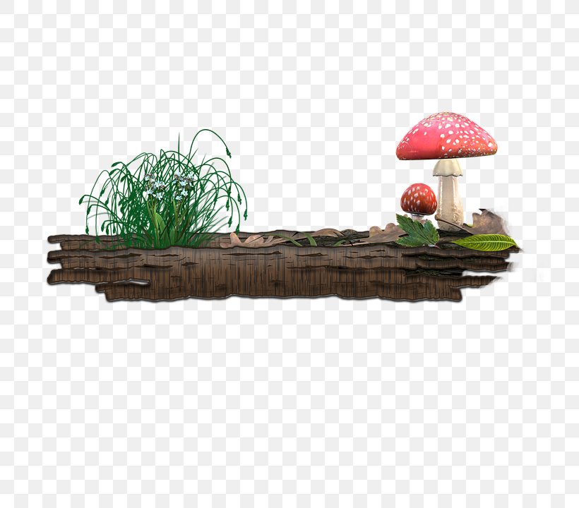 Mushroom, PNG, 720x720px, Mushroom, Color, Furniture, Grass, Plant Download Free