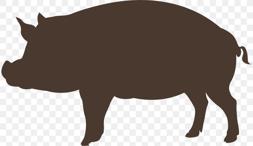 Domestic Pig Graphic Design, PNG, 812x473px, Domestic Pig, Animal, Cattle Like Mammal, Designer, Drawing Download Free