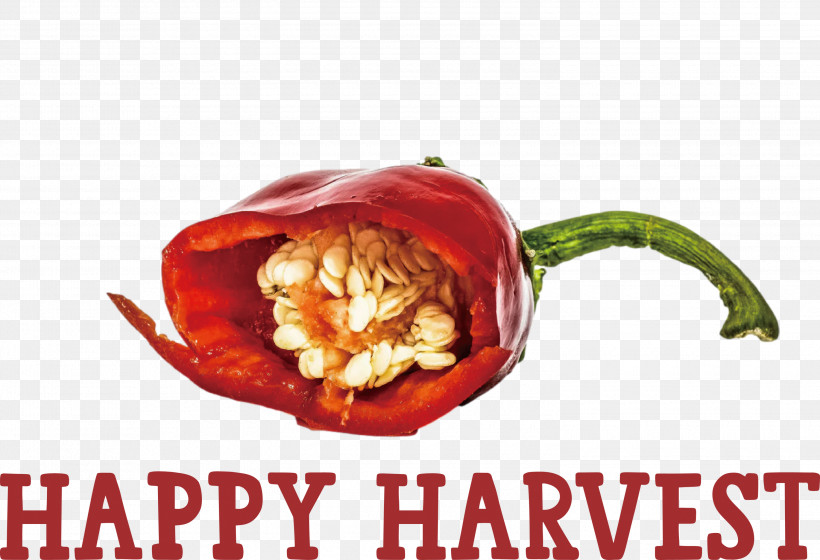 Happy Harvest Harvest Time, PNG, 3000x2052px, Happy Harvest, Black Pepper, Chili Pepper, Dinner, Harvest Time Download Free
