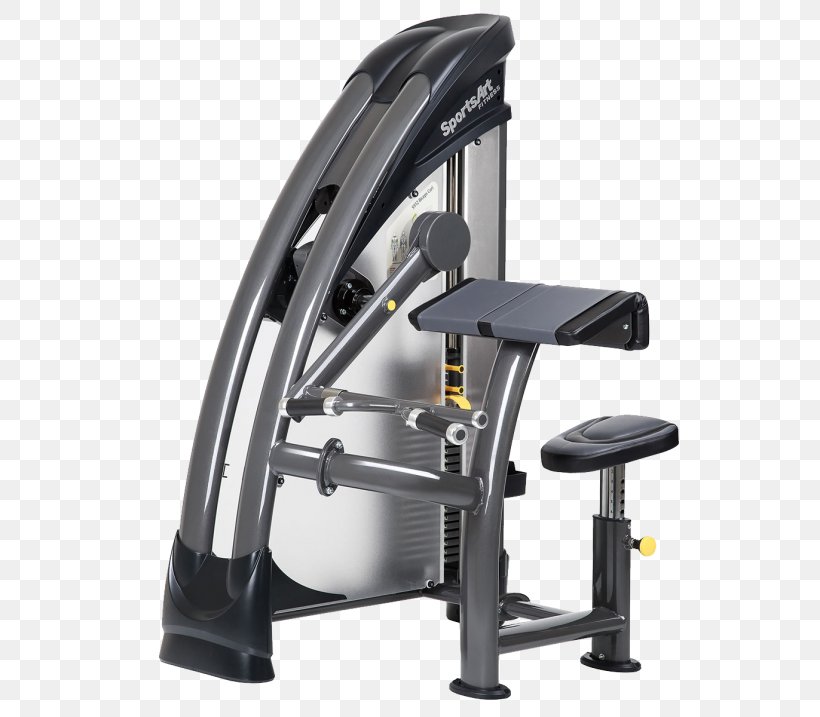 Lying Triceps Extensions Biceps Curl Triceps Brachii Muscle Row Fitness Centre, PNG, 600x717px, Lying Triceps Extensions, Bench Press, Biceps, Biceps Curl, Bodybuilding Download Free