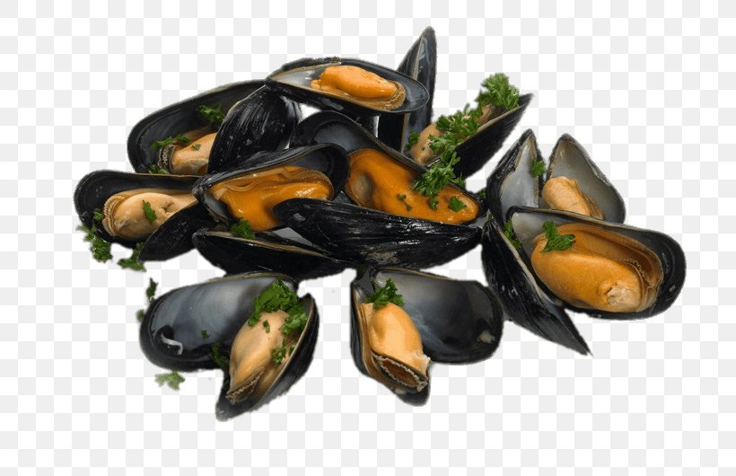 Mussel Oyster Cooking Food Clam, PNG, 800x530px, Mussel, Animal Source Foods, Clam, Clams Oysters Mussels And Scallops, Cooking Download Free