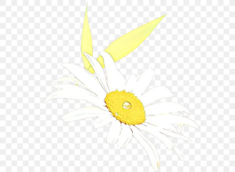 Sunflower, PNG, 572x600px, Yellow, Camomile, Feather, Flower, Plant Download Free