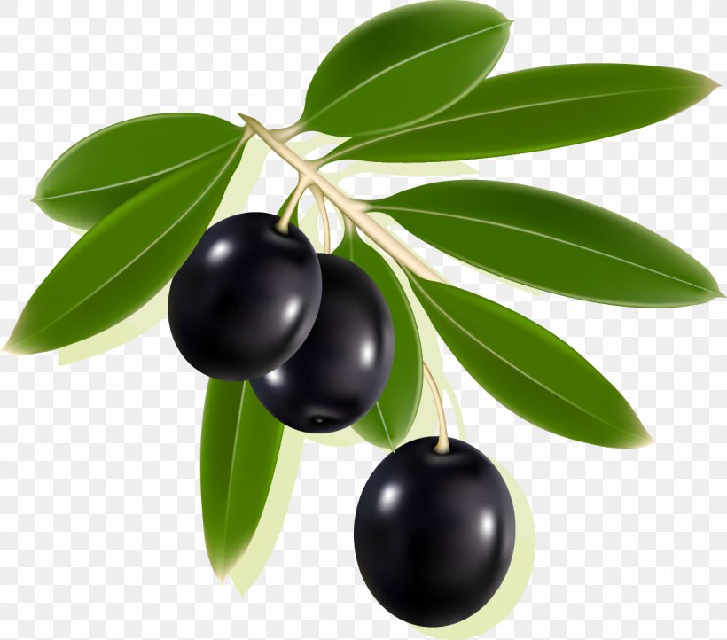 Olive Label Clip Art, PNG, 1264x1113px, Olive, Aristotelia Chilensis, Berry, Bilberry, Chokeberry Download Free