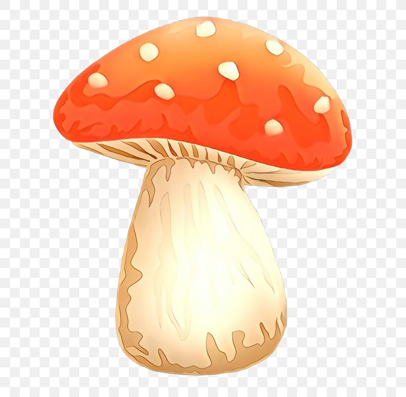 Product Design Mushroom, PNG, 680x800px, Mushroom, Agaric, Agaricaceae, Agaricomycetes, Agaricus Download Free