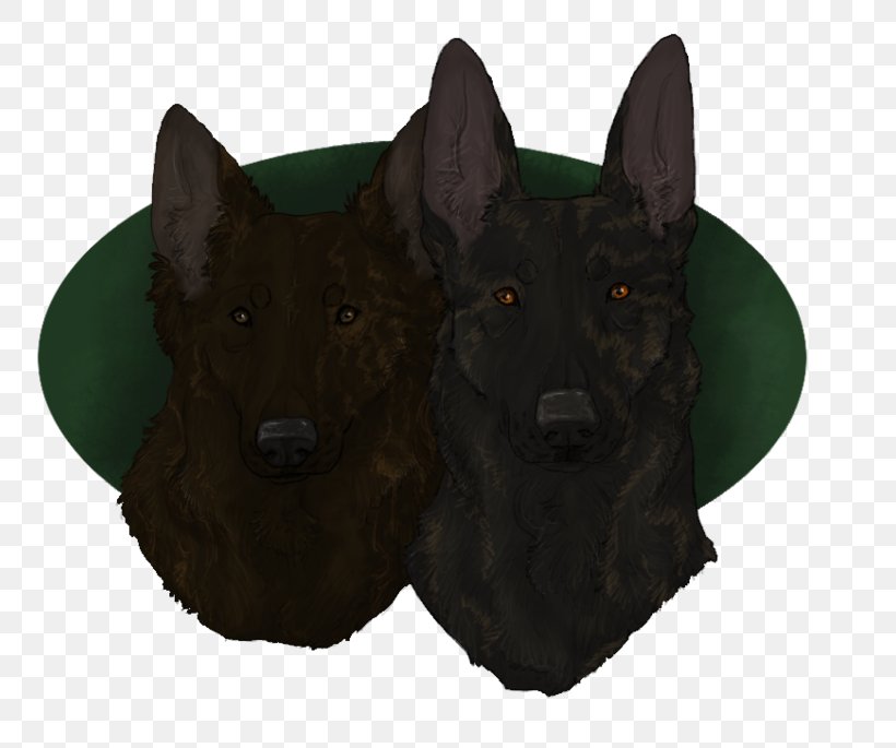 Schipperke Dog Breed Snout Fur, PNG, 800x685px, Schipperke, Breed, Carnivoran, Dog, Dog Breed Download Free