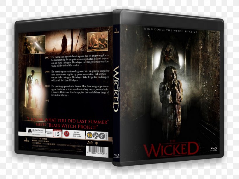 Witch DVD Electronics STXE6FIN GR EUR The Wicked, PNG, 1024x768px, Witch, Dvd, Electronics, Film, Multimedia Download Free