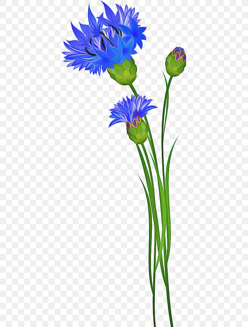 Flowers Background, PNG, 412x1080px, Cornflower, Cut Flowers, Drawing, Flower, Flowerpot Download Free