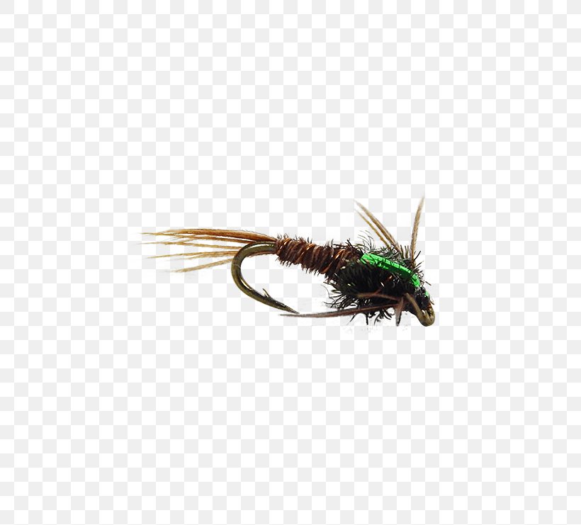 Insect Artificial Fly Membrane, PNG, 555x741px, Insect, Artificial Fly, Fly, Invertebrate, Membrane Download Free