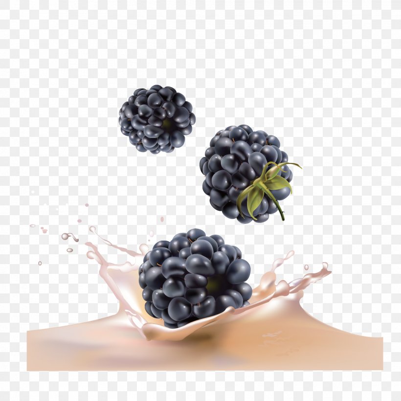 Juice Blackberry Fruit Blueberry, PNG, 1875x1875px, Juice, Berry, Blackberry, Blueberry, Display Resolution Download Free