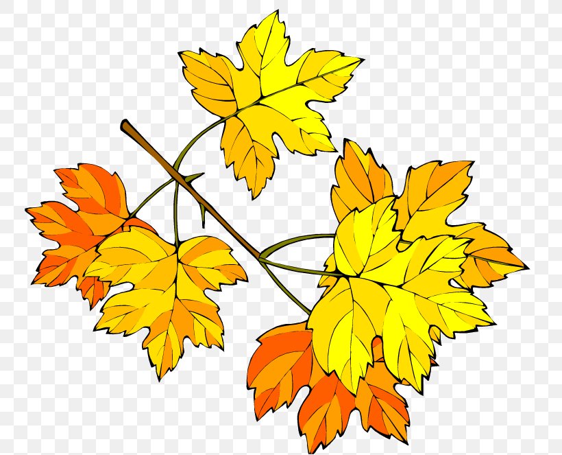 Tell Me, Tree Leaf Clip Art, PNG, 750x663px, Leaf, Autumn, Autumn Leaf Color, Branch, Color Download Free