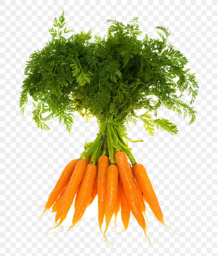 Carrot Indian Cuisine Gajar Ka Halwa Vegetable Fruit, PNG, 1200x1421px, Carrot, Baby Carrot, Carotenoid, Carrot Extract, Carrot Seed Oil Download Free