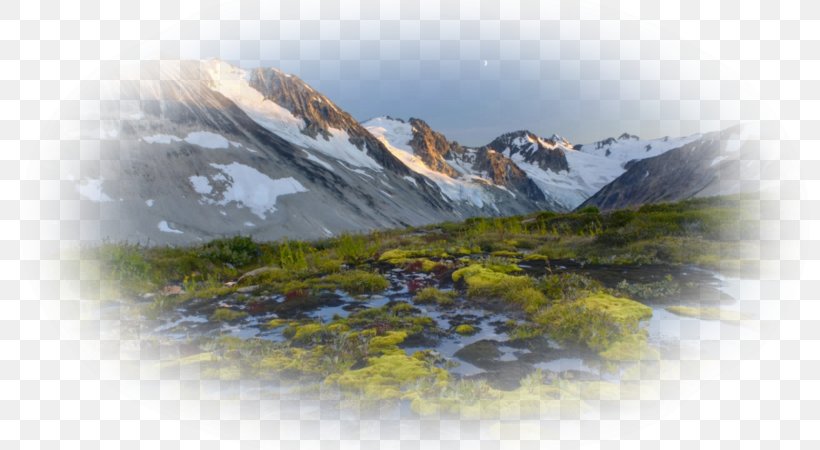 Desktop Wallpaper Glory Will Cover The Earth Music Image Photograph, PNG, 800x450px, Music, Alps, Film, Hill, Hill Station Download Free
