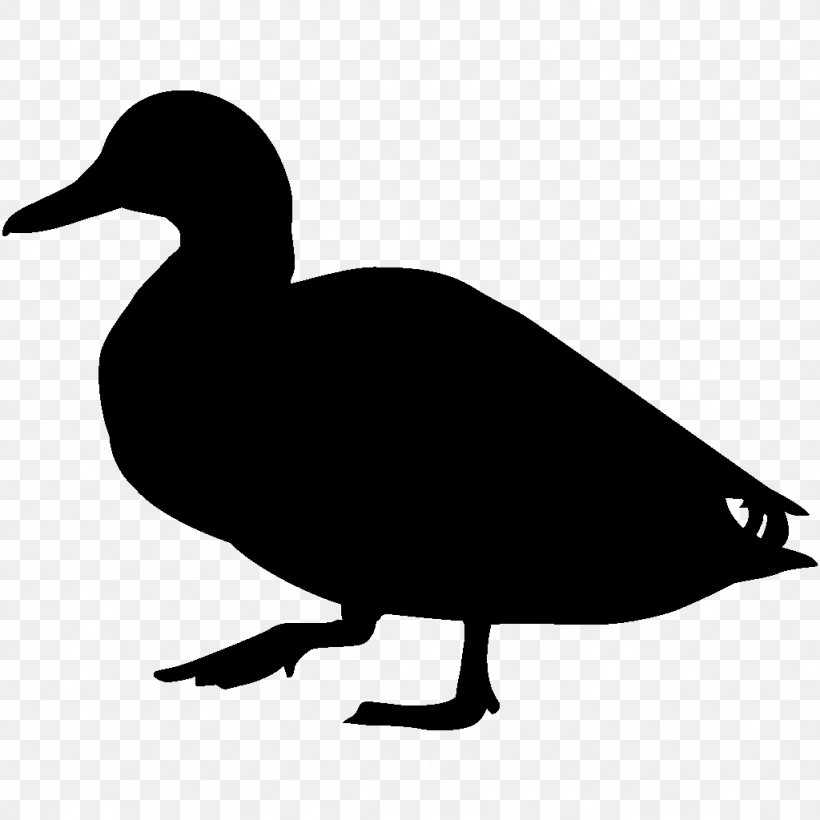 Duck Bird Mallard Cornell Lab Of Ornithology Clip Art, PNG, 1024x1024px, Duck, All About Birds, American Black Duck, Beak, Bird Download Free