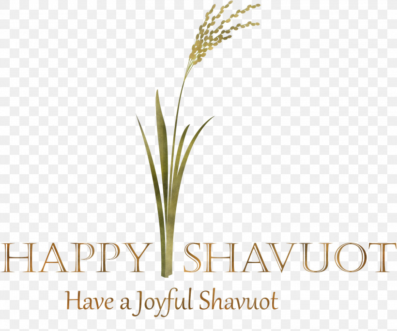 Happy Shavuot Shavuot Shovuos, PNG, 3000x2503px, Happy Shavuot, Crop, Elymus Repens, Flower, Food Grain Download Free