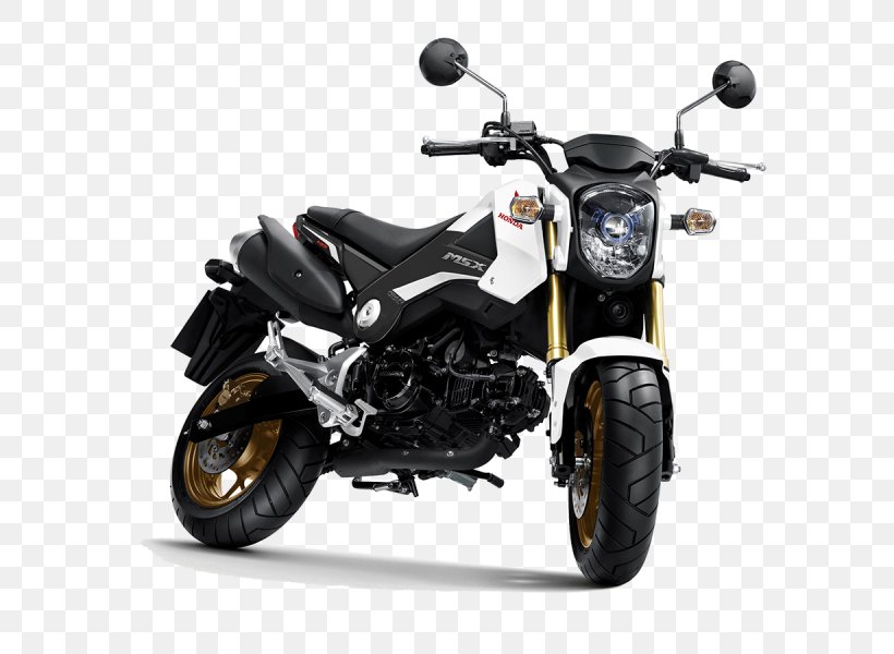 Honda Grom Car Motorcycle Honda S2000, PNG, 800x600px, Honda, Bicycle, Car, Cruiser, Honda Grom Download Free