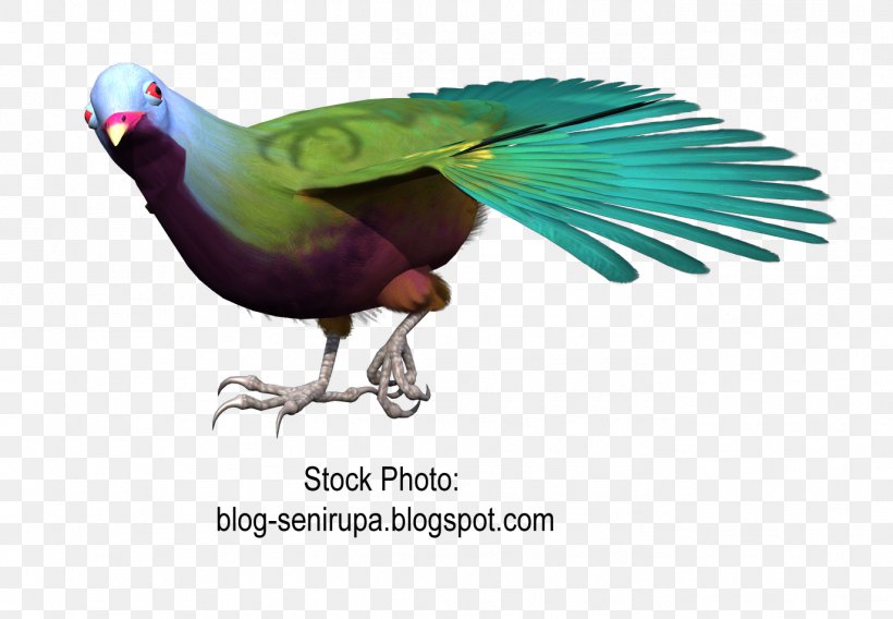 Macaw Goose Beak Bird Gulls, PNG, 1374x953px, Macaw, Beak, Bird, Columbidae, Cygnini Download Free