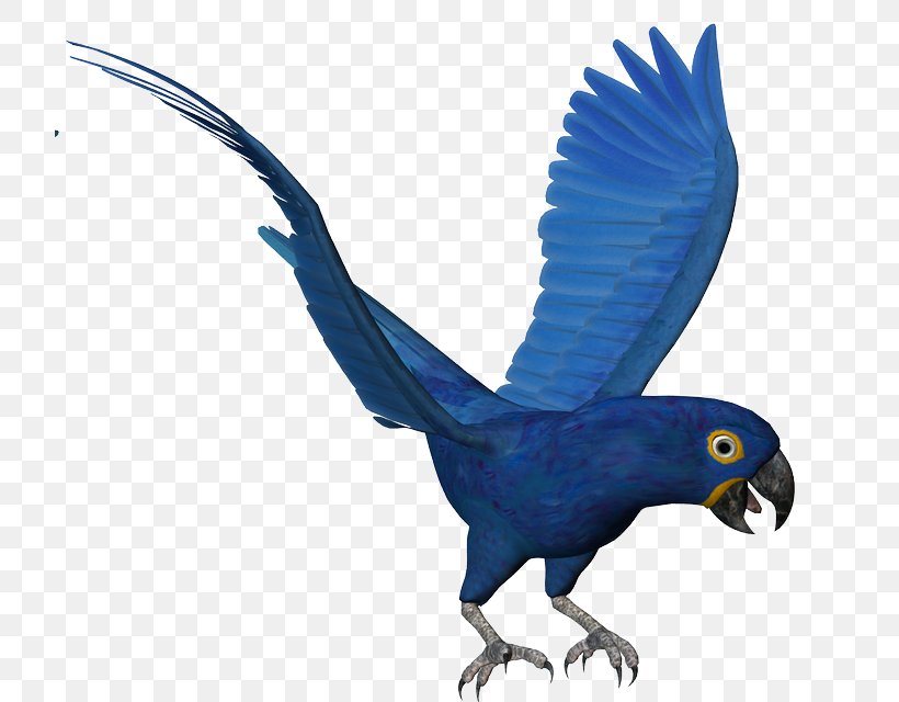Macaw Parrot Bird Parakeet Feather, PNG, 720x640px, Macaw, Animal, Animal Figure, Beak, Bird Download Free