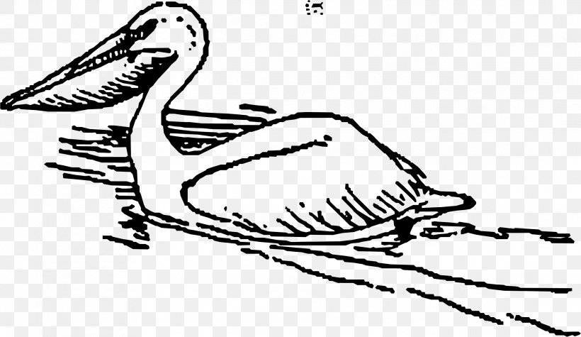 Pelican Clip Art, PNG, 2223x1290px, Pelican, Art, Artwork, Beak, Bird Download Free