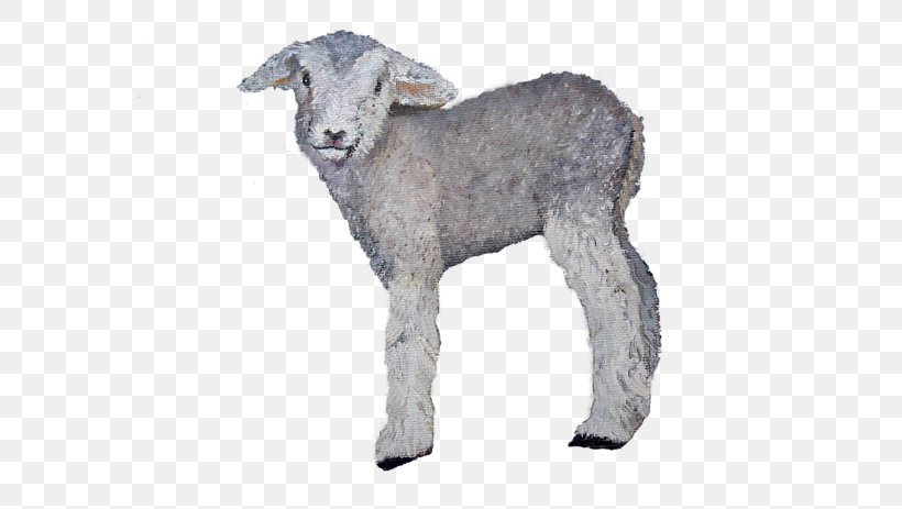 Sheep Goat Cattle Fur Snout, PNG, 600x463px, Sheep, Animal Figure, Cattle, Cattle Like Mammal, Cow Goat Family Download Free