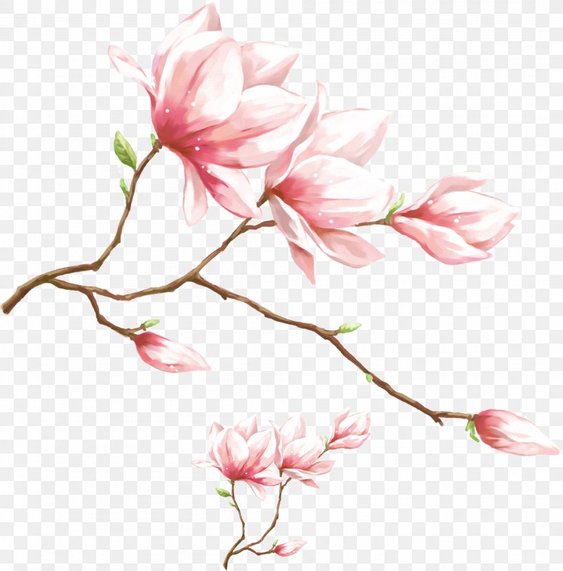 1080p High-definition Video Display Resolution Wallpaper, PNG, 1993x2022px, Laptop, Aspect Ratio, Blossom, Branch, Cherry Blossom Download Free