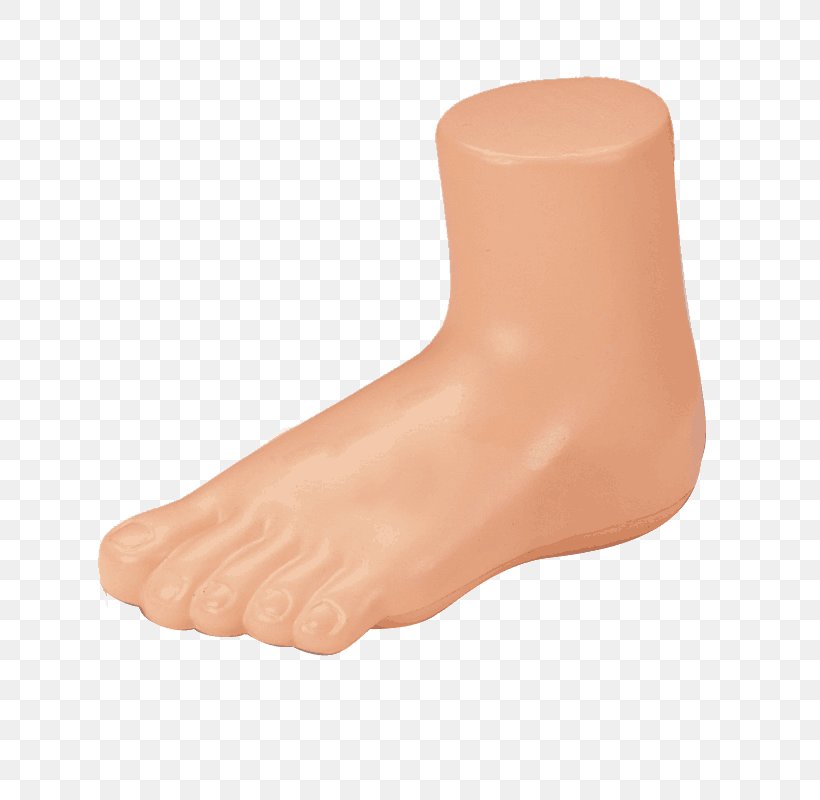 Foot Mannequin Shoe Sock Sandal, PNG, 800x800px, Watercolor, Cartoon, Flower, Frame, Heart Download Free