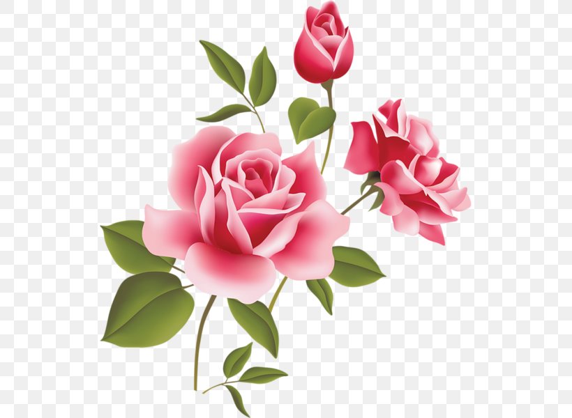 Rose Pink Free Content Clip Art, PNG, 533x600px, Rose, Artificial Flower, Blog, Cut Flowers, Floral Design Download Free