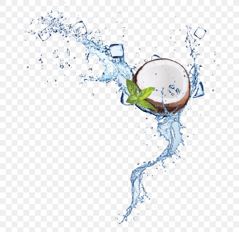 Clip Art Illustration /m/02csf Water Drawing, PNG, 709x796px, Water, Andina, Art, Artwork, Branch Download Free