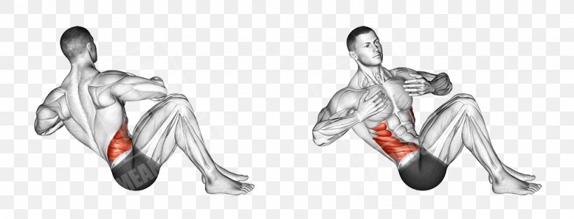 Russian Twist Exercise Biceps Muscle Training, PNG, 1024x393px, Russian Twist, Arm, Barbell, Biceps, Body Jewelry Download Free